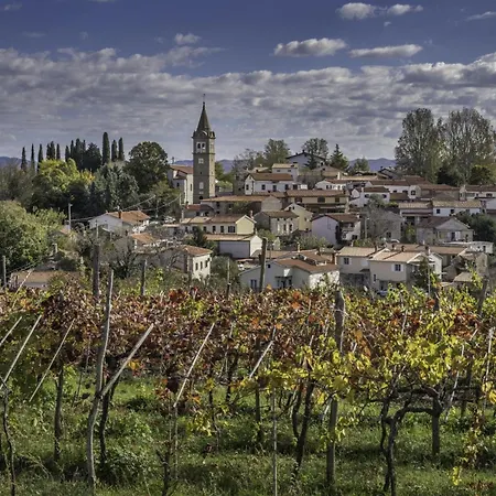 Tourist Farm Tonin - 3 - Happy דירה *