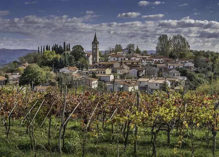 Tourist Farm Tonin - 3 - Happy דירה *