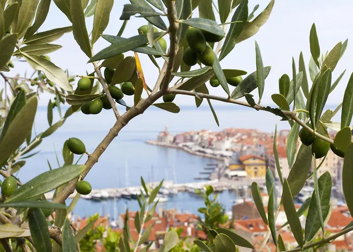 Tourist Farm Tonin - 3 - Happy